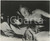 Fotografia d epoca originale 1970 Film The Revolutionary Jennifer SALT Jon VOIGHT  Photo 25x20 cm 1