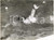 1959 BLACKPOOL Nuotatrice Natalie STEWARD durante una gara *Foto 20x15