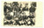 1947 SAVONA FBC CALCIO Settore giovanile - La squadra - Fotocartolina VINTAGE