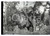 Fotografia d epoca originale 1915ca WW1 ESERCITO ITALIANO Postazione Obice 149/35 6X9cm NEGATIVO ORIGINALE 1