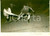 1955 MONZA Campionato del mondo HOCKEY SU PISTA - Svizzera batte Cile - Foto