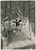 1954 CAMOGLI (GE) - CRISTO DEGLI ABISSI calato nella baia di SAN FRUTTOSO (1)