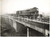 1959 LONDON BARKING - The first train using the new flyover *Photo VINTAGE 20x15