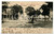 Cartolina originale da collezione 1908 NOVARA Fontana ai giardini pubblici Cartolina ANIMATA FP VG 1