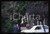 35mm vintage slide* 1990 FINO MORNASCO Casa CASIRAGHI (1)