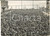 1954 TRIESTE ITALIANA Folla in Piazza Unità d'Italia con il tricolore *Foto