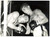 1959 MILANO BOXE Incontro tra Lahouri GODIH e Mario VECCHIATO *Foto 18x13 cm