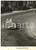1955 RAVENNA MILLE MIGLIA Passaggio di Stirling MOSS su MERCEDES - Foto