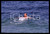 35mm vintage slide* GRADO PIPER BEACH Gianni BISIACH 10