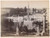 1910 ca ROMA Piazza del Popolo - Panorama dal MONTE PINCIO Foto seriale