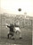 1960 ca CALCIO SERIE A SAMPDORIA Goal di Aurelio MILANI - Foto 13x18 cm