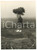 1958 GATTINARA - ESERCITO Manovre "Freccia Azzurra II" - Esplosione di una bomba