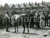 1955 DONCASTER - Queen Elizabeth and Marcus WICKHAM-BOYTON looking filly SICAMBE