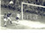1957 CALCIO MILAN-JUVENTUS 4-1 Goal di Per BREDESEN - Foto 18x13 cm