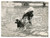 Fotografia d epoca originale 1958 SAN FRUTTUOSO Caprice CHANTAL gioca con il cane in mare  Foto vintage RARA 1