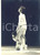 1960 ca BRUXELLES Ballets Modernes - Un spectacle (2) - Photo VERHASSEL 13x18 cm  Fotografia d'epoca.FOTOGRAFO: Verhassel - BruxellesCONDIZIONI: FAIR  (foro di affissione al margine superiore e difetto di stampa al lato destro)FORMATO: 13x18 cm     originale e autentica 1