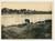 1960 ca SOUTH AFRICA Elefante nella savana - Foto ARTISTICA 23x17 cm  Fotografia originale d'epoca.CONDIZIONI: G (lievi difetti di stampa)FORMATO: 23x17 cm    originale e autentica 1