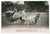 Cartolina originale da collezione 1910 ca PARIS Jardin Zoologique  Voiture aux chÃ¨vres a cou noir  Carte postale 1