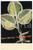 1950 MARSHALL PLAN POSTER CONTEST Towards a better future - Postcard FP NV  Cartolina postale d'epoca, non viaggiata.CONDIZIONI: GFORMATO: FP    originale e autentica 1