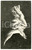 1900 ca TÊTE TROMPEUSES Portrait of a bearded man - Metamorphic postcard FP NV  Cartolina postale d'epoca, non viaggiata.EDITORE: JC Imprimzur, BruxellesCONDIZIONI: FAIRFORMATO: FP    originale e autentica 1