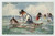 1910 ANIMALS Mixed bathing - Dogs and cats at the sea ANTHROPOMORPHIC Postcard  Cartolina postale d'epoca, viaggiata. POOR/danneggiato profonda piegatura e sbrecciatura all'angolo inferiore sinistro Formato: 14x9 cm originale e autentica 1