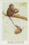 1920 ca ANIMALS Artist Lawson WOOD Monkey dad - Postcard GRAN'POP Series (1)  Cartolina postale d'epoca, non viaggiata.CONDIZIONI: GOODFORMATO: FP    originale e autentica 1