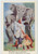 1910 ca ANIMALS Artist R. GORIS Monkeys painting an elephant - Postcard FP NV  Cartolina postale d'epoca, non viaggiata.CONDIZIONI: POOR (piegatura verticale al margine superiore)FORMATO: FP    originale e autentica 1
