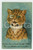 1910 ca Artist Louis WAIN Evil cat with monocle ANTHROPOMORPHIC Postcard FP NV  Cartolina postale d'epoca, non viaggiata ma con nota manoscritta al verso.CONDIZIONI: VERY POOR (estesi residui di incollatura al verso)FORMATO: FP    originale e autentica 1