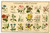 1910 ca LANGAGE DE FLEURS Illustrated - Embossed postcard FP VG  Cartolina postale d'epoca, viaggiata. FAIR/discreto Lievi piegature agli angoli Formato: FP originale e autentica 1
