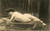 1910 ca VINTAGE EROTIC Portrait nude woman lying on pillows - Postcard risque  Fotografia seriale d'epoca, in formato cartolina.CONDIZIONI: G FORMATO: FP    originale e autentica 1