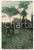 1910ca CONGO BELGE - MANYEMA Indigènes rapportant du bois de la forèt - Postcard  Cartolina postale d'epoca, non viaggiata.CONDIZIONI: FAIRFORMATO: FP    originale e autentica 1