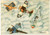 1941 MAK P 100 R. Accademia Aeronautica Corso URANO Cartolina Ill. POLTRONIERI  Cartolina postale d'epoca, non viaggiata.CONDIZIONI: FAIR (lieve piegatura all'angolo superiore destro)FORMATO: FG    originale e autentica 1