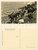 Cartolina originale da collezione 1930 ca C. ZAGOURSKI Â«L Afrique qui disparaÃ®tÂ» RUANDA  BÃ©tail sacrÃ©  Postcard 1