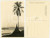 Cartolina originale da collezione 1930 ca C. ZAGOURSKI Â«L Afrique qui disparaÃ®tÂ» Paysage Congolais  Postcard 211 1