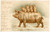 1901 ANIMALS Pig with three piglets - Illustrated Postcard FP VG  Cartolina postale d'epoca, viaggiata.CONDIZIONI: FAIRFORMATO: FP    originale e autentica 1