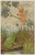 1910 ca ANIMALS Fairy dangling spider above frog - ill. JOCKAL - Postcard  Cartolina postale d'epoca, scritta ma non viaggiata.CONDIZIONI: GFORMATO: FP    originale e autentica 1