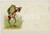 1904 BONNE FÊTE Concert - Frog playing mandolino - Anthropomorphic postcard  Cartolina postale d'epoca, viaggiata.CONDIZIONI: F (lievi macchie al recto; minima abrasione all'angolo superiore destro e al lato superiore)FORMATO: FP    originale e autentica 1