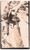 1905 VALSESIA Alpinista sulla Parrotspitze PUNTA PARROT Fotografia 9x14 cm Fotografia d'epoca.FOTOGRAFO: Dr. Vittorio Ronchetti - Milano FAIR/discreto Lievi smussature agli angoli Formato: 9x14 originale e autentica 1