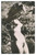 1950 ca EROTICA VINTAGE Naked girl sunbathing - Public nudity - Photo  Fotografia seriale d'epoca. CONDIZIONI: FAIR (lievi gualciture ai margini)FORMATO: 8x13    originale e autentica 2