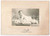 1920 ca COMO Ritratto di bambino su cuscino - Fotografia PIATTI 17x12 cm Fotografia d'epoca, su cartoncino rigido.  GOOD/buono  Formato: 17x12 cm originale e autentica 1