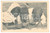 Fotografia d epoca originale 1940 A.O.I. MASSAUA ERITREA Bambini indigeni con un giornale  Foto 14x9 cm 1