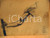Opera d’arte autentica 1927 Giuseppe MARETTO Studio anatomico DISEGNO AUTENTICO 1