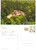 Autografo originale 1993 ASSISI PG Autografo del tenore Oslavio DI CREDICO Cartolina postale 1