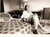 Fotografia d epoca originale 1980 circa TENNIS Intervista a Renée RICHARDS Tennista Fotografia 1