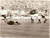 Fotografia d epoca originale 1988 CAMPIONATO Calcio BOLOGNA  PISA Massimo BONINI strattonato fa gol Foto 1