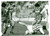 Fotografia d epoca originale 1988 UEFA Calcio ROMA  PARTIZAN Bruno CONTI Giuseppe GIANNINI Roberto POLICANO 1