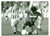 Fotografia d epoca originale 1988 UEFA Calcio ROMA  PARTIZAN Roberto POLICANO durante scivolata Fotografia 1