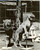 Fotografia d epoca originale 1960 ca LOS ANGELES USA Leonesse domatore Anthony Patrick VITANZA Fotografia 1