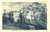 Cartolina originale da collezione 1923 PASSO DEL TONALE TN Strada del TONALE con MONTICELLI Cartolina ANIMATA 1