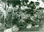 Fotografia d epoca originale 1977 HOBART TASMANIA Panorama dal parco giochi per bambini Fotografia 1
